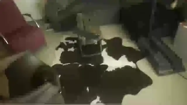 Snapshot of oopsxx chatting on 22, 12, 2025 oopsxx online show from 22, 12, 2025