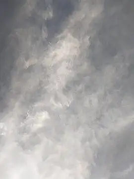 Snapshot of FloppyPickle4u chatting on 17, 2, 2025 FloppyPickle4u online show from 17, 2, 2025