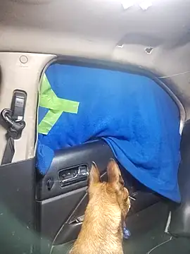 Snapshot of FloppyPickle4u chatting on 18, 2, 2025 FloppyPickle4u online show from 18, 2, 2025