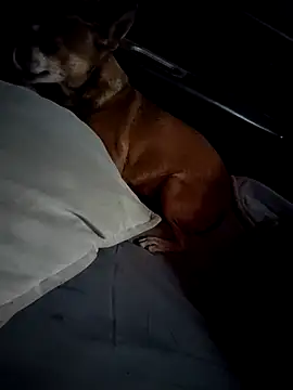 Snapshot of FloppyPickle4u chatting on 28, 2, 2025 FloppyPickle4u online show from 28, 2, 2025