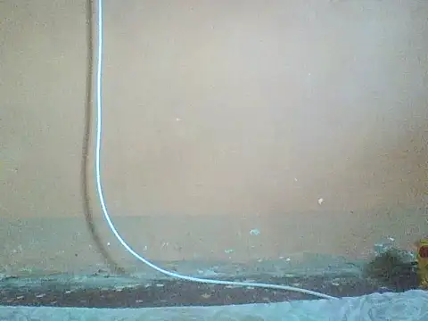 Naivegirrl online show from 2, 11, 2025