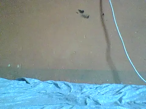 Naivegirrl online show from 8, 2, 2026