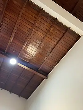 emiss  online show from 7, 2, 2026