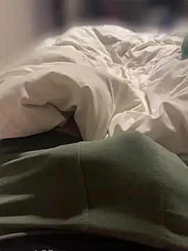 PvlgaFR online show from 8, 4, 2026