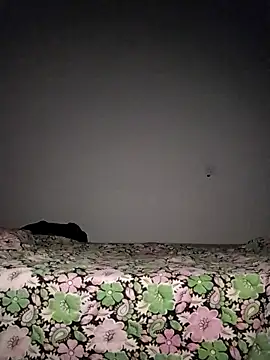 Sexygarl1024 online show from 8, 10, 2025