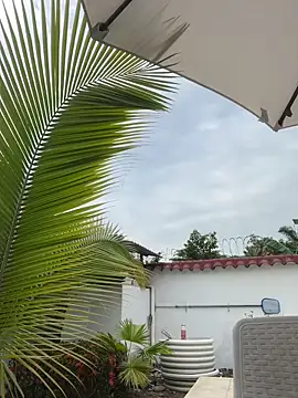 Ema azel online show from 16, 2, 2025