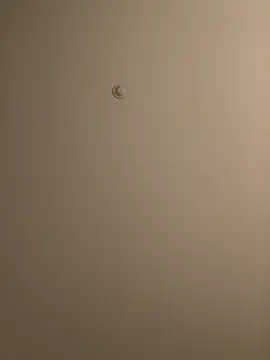 BIGWHITECOCKDOC36 online show from 5, 3, 2025