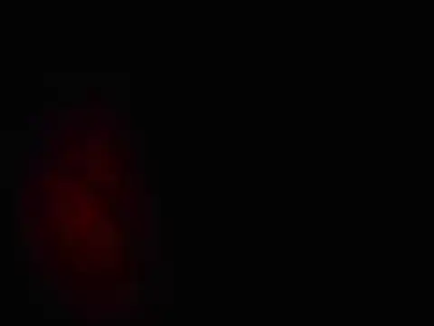 L0cKyseven77 online show from 1, 2, 2025