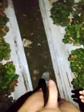 dfff125ff online show from 13, 11, 2025