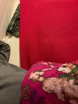 A6229 online show from 26, 2, 2025