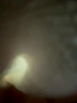 eveangelll online show from 4, 11, 2025