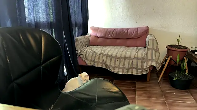 Snapshot of gerson173Hugo chatting on 7, 1, 2026 gerson173Hugo online show from 7, 1, 2026