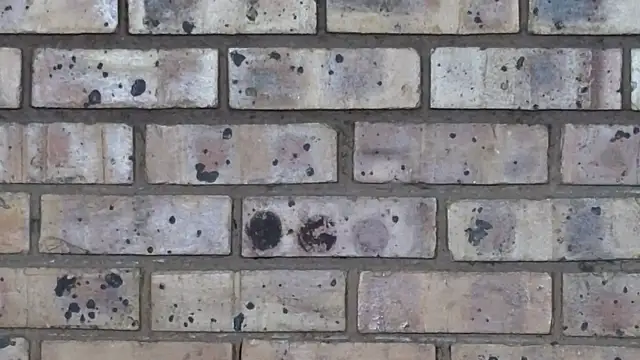 Astoria Moon online show from 10, 2, 2025