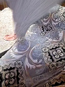  Kitti  online show from 22, 1, 2025