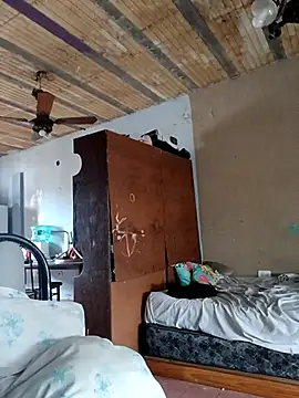 puak6666 online show from 12, 11, 2025