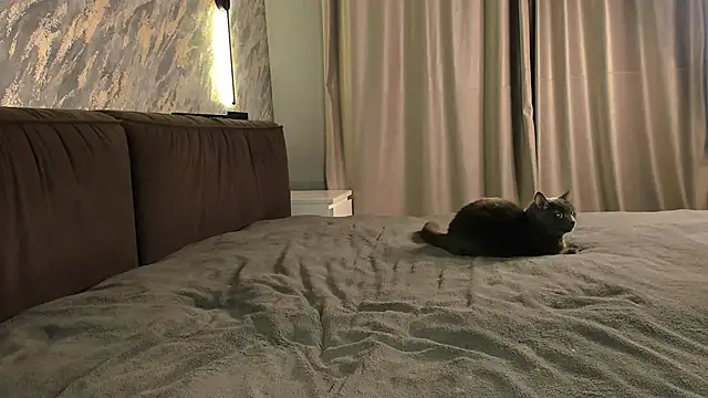 laflamebella online show from 28, 9, 2025