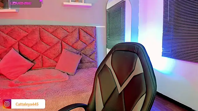 Snapshot of cattaleya___ chatting on 15, 2, 2025 cattaleya online show from 15, 2, 2025