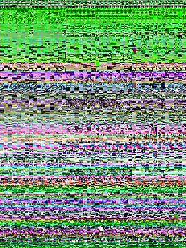 Barbyxhot online show from 21, 11, 2025