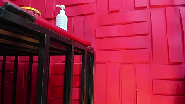 Snapshot of Santa_Cooper_ chatting on 11, 1, 2025 Santa Cooper  online show from 11, 1, 2025