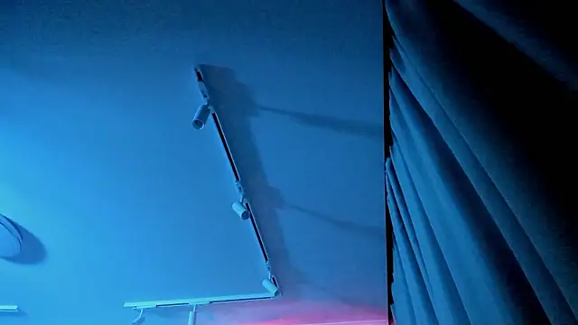 Ledy WWWII online show from 3, 12, 2024