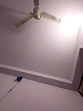 Snapshot of HangdogBeggary chatting on 12, 2, 2025 HangdogBeggary online show from 12, 2, 2025