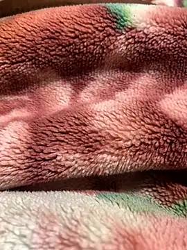 Snapshot of Gengista88 chatting on 4, 2, 2026 Gengista88 online show from 4, 2, 2026