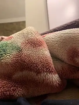 Snapshot of Gengista88 chatting on 15, 2, 2026 Gengista88 online show from 15, 2, 2026