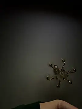 Snapshot of Jose_rz chatting on 23, 3, 2026 Jose rz online show from 23, 3, 2026