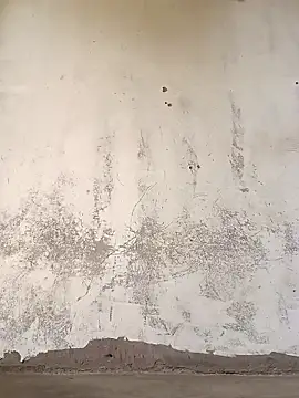 Yasha 14C Creator online show from 8, 11, 2025