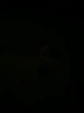 nowex18 online show from 18, 3, 2025