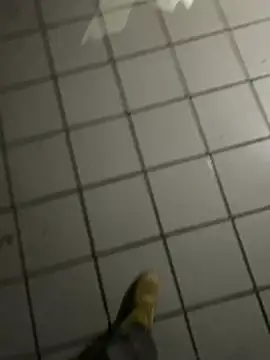 nowex18 online show from 20, 2, 2026