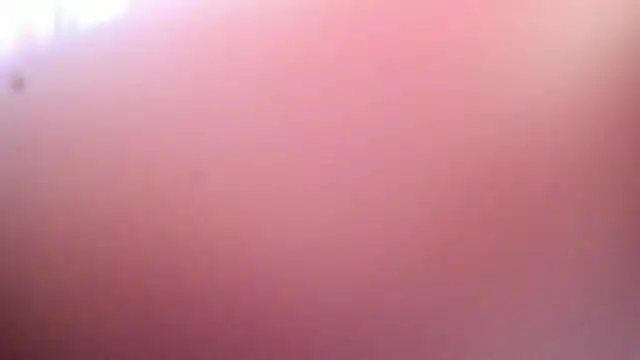 Dana Jeins online show from 29, 7, 2026