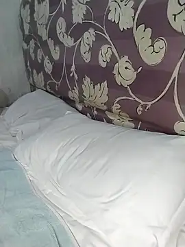 Stallion100 online show from 25, 2, 2026