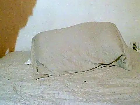 pollarikaaa online show from 14, 12, 2025