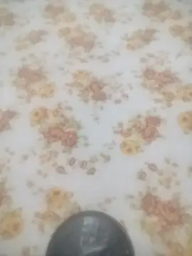 Snapshot of Working- chatting on 19, 1, 2026 Working- online show from 19, 1, 2026