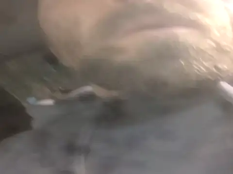 jwiththethickone413 online show from 17, 11, 2025