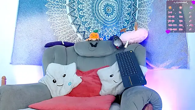 tevenwhiite online show from 12, 3, 2025