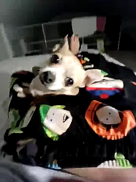 Snapshot of litleboy92 chatting on 15, 11, 2025 litleboy92 online show from 15, 11, 2025