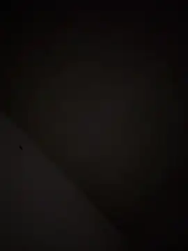 casadoscuriosos97 online show from 11, 3, 2026