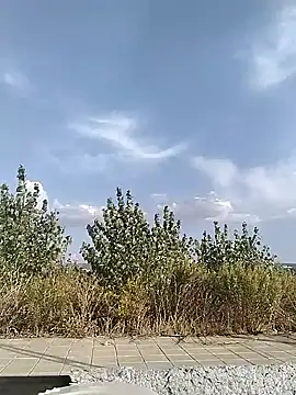 cuplubijoanna online show from 20, 9, 2025