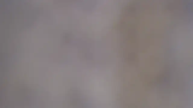 paiper halliwey online show from 8, 2, 2025