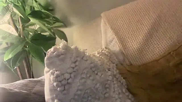 toptugger online show from 17, 10, 2025