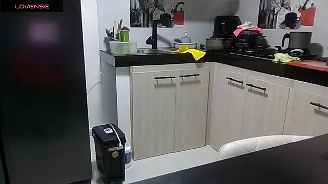 Snapshot of saramartinez1000 chatting on 14, 4, 2026 saramartinez1000 online show from 14, 4, 2026