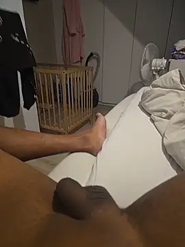 brons online show from 23, 10, 2025