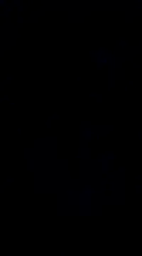 savhorseridecwby online show from 20, 12, 2024