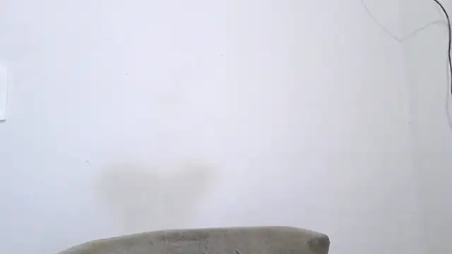 Dedel199 online show from 26, 10, 2025