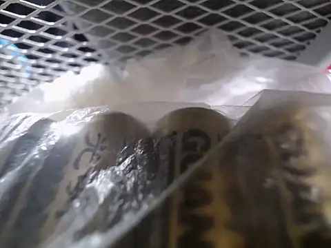 Lovensetest online show from 30, 9, 2025