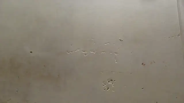 curvysexybody online show from 16, 1, 2026