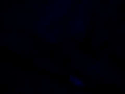 Vinyboy69 online show from 8, 11, 2025