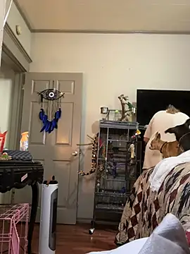 Snapshot of lezbean24 chatting on 11, 3, 2026 lezbean24 online show from 11, 3, 2026